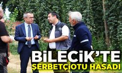 ŞERBETÇİ OTU İNCELEMESİ: TÜRKİYE'DE SADECE PAZARYERİ'NDE YETİŞİYOR