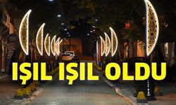 SÖĞÜT'TE CADDELER IŞIL IŞIL OLDU