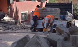 BİLECİK BELEDİYESİ KENT ESTETİĞİ İÇİN KOLLARI SIVADI