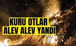ANIZ YANGINI YAYILMADAN SÖNDÜRÜLDÜ