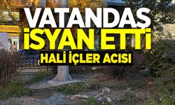 ORTA REFÜJLERİN BAKIMSIZLIĞI VATANDAŞLARI İSYAN ETTİRDİ