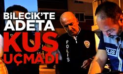 GENİŞ ÇAPLI DENETİM UYGULAMASI