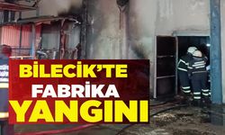 BİLECİK'TE FABRİKA YANGINI
