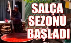 SALÇA SEZONU BAŞLADI