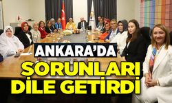 AK PARTİ KADIN KOLLARI'NDAN KADIN BELEDİYE BAŞKANLARIYLA İSTİŞARE TOPLANTISI