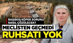 SOKAK HAYVANLARI DOĞAL YAŞAM ALANI'NI RUHSATSIZ ÇIKTI