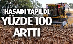 YAĞLIK AYÇİÇEĞİ EKİM ALANI 60 BİN DEKARDAN 111 BİN DEKARA YÜKSELDİ