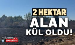 YAŞANAN ANIZ YANGININDA 2 HEKTAR ALAN KÜL OLDU