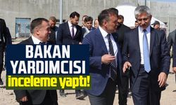 GENÇLİK KAMPI VE TEMATİK PARKTA İNCELEME