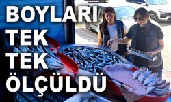 PERAKENDE BALIK SATIŞ YERLERİ DENETLENDİ