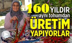 160 YILDIR AYNI TOHUMDAN ACI BİBER ÜRETİYORLAR