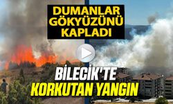 SALÇA YAPARKEN ÇIKAN KIVILCIMLA 30 DÖNÜM MAKİLİK ALANI KÜL OLDU
