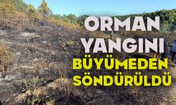 PAZARYERİ BOZCAARMUT'TA ORMAN YANGINI