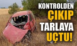 KONTROLDEN ÇIKAN HAFİF TİCARİ ARAÇ TARLAYA UÇARKEN, SÜRÜCÜSÜ YARALANDI