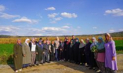 DAĞITILAN SEBZE FİDELERİNİN HASADINI YAPILDI