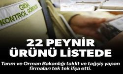 22 PEYNİR ÜRÜNÜ LİSTEDE