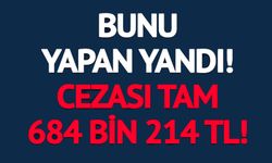 684 BİN 214 TL CEZASI VAR