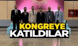 BİLECİK HEYETİ TAMAMLAYICI TIP KONGRESİ'NDE