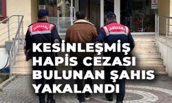 1 YIL 8 AY HAPİS CEZASI BULUNAN ŞAHIS JANDARMA TARAFINDAN YAKALANDI