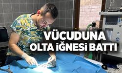 OLTA İĞNESİ BATMIŞ KEDİ KURTARILDI
