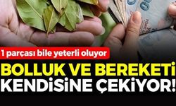 CÜZDANIN İÇİNE 1 PARÇA KOYUN