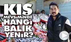 MEVSİMİNİN EN LEZZETLİ BALIKLARI HAMSİ VE SARDALYA