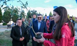 BŞEÜ'DE 150 ZEYTİN FİDANI DİKİLDİ