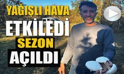 YAĞIŞLAR SONRASI ORMANLARDA MANTAR PATLAMASI YAŞANDI