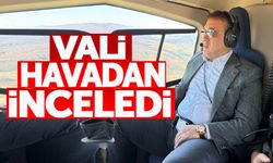 YANAN ORMANLAR YENİDEN HAYAT BULUYOR