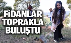 ZEYTİN FİDANLARI TOPRAKLA BULUŞTU