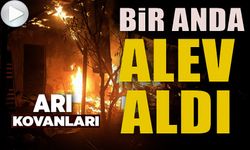 ARI KOVANLARININ BULUNDUĞU SUNDURMA YAPIDA YANGIN