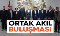 SU YÖNETİMİ İÇİN ORTAK AKIL BULUŞMASI