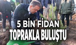 ORMAN YANGINLARINDAN ETKİLENEN BÖLGEDE 5 BİN FİDANI TOPRAKLA BULUŞTURULDU