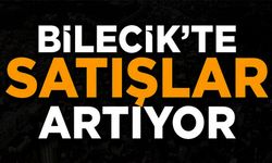 KONUT SATIŞI YÜZDE 8,1 ORANINDA ARTTI