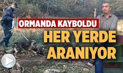 MANTAR TOPLAMAK İÇİN GİTTİĞİ ORMANLIK ALANDA KAYBOLAN ADAMI 96 KİŞİLİK EKİP ARIYOR