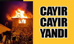 BİLECİK'TE KORKUTAN YANGIN