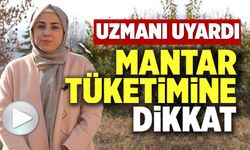 HALK SAĞLIĞI UZMANI DR. KOÇOĞLU DOĞADA YETİŞEN MANTARLARA DİKKATİ ÇEKTİ