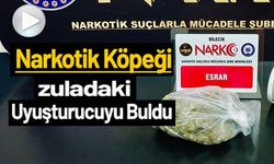 DEDEKTÖR KÖPEĞİ 'İNTEL'DEN UYUŞTURUCU OPERASYONU