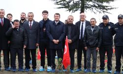 ŞEHİTLER ADINA FİDAN DİKİMİ GERÇEKLEŞTİRİLDİ