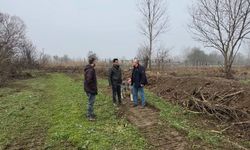 TAŞKIN RİSKİNE KARŞI DERE ISLAHI