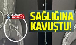 2 SAATLİK AMELİYATLA ESKİ SAĞLIĞINA KAVUŞTU