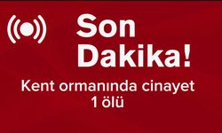 Bilecik kent ormanında 1 ölü bulundu