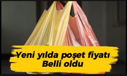 Market poşetinde fiyat belli oldu: İşte yeni yıl tarifesi!