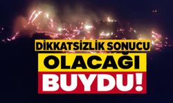 ÇÜRÜMÜŞ AĞAÇ VE KÖKLER YAKILIRKEN ALEVLER KONTROLDEN ÇIKTI