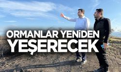 YANGIN ALANLARI YEŞİLE BÜRÜNÜYOR