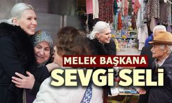 BAŞKAN SUBAŞI’NDAN İLÇELERE ÇIKARMA