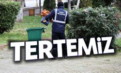 SÖĞÜT'TE TEMİZLİK ÇALIŞMALARI HIZ KAZANDI