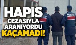 BİLECİK'TE ARANAN ŞAHIS YAKALANDI