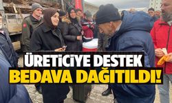 143 ÜRETİCİYE 11 BİN FİDAN HİBE EDİLDİ