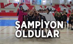 KÜÇÜK ERKEKLER VOLEYBOL MÜSABAKALARI TAMAMLANDI